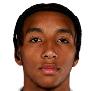 布拉德利·易卜拉希米